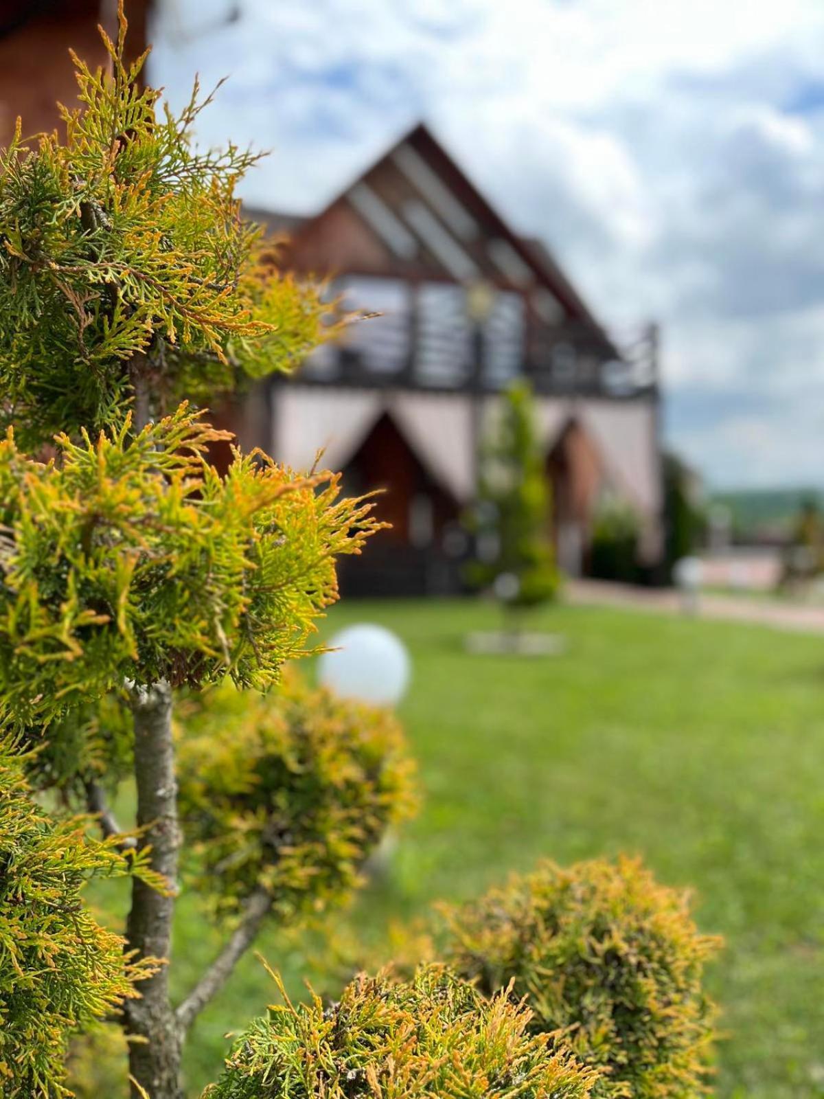 Four Seasons In Carpathians Hotell Migovo Exteriör bild